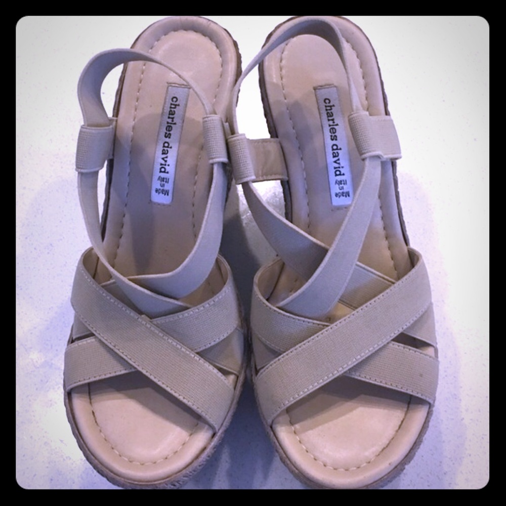 Charles David Platform/Wedge Sandals